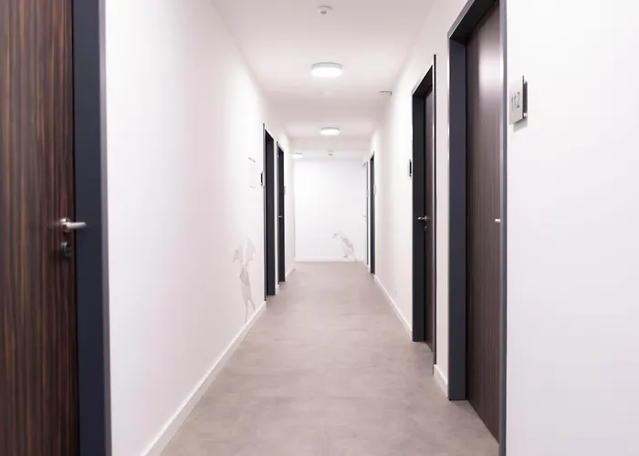 Signature Skarv エルムスホルン